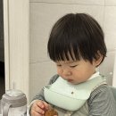 오샌디