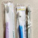 썬덴탈코리아 | 부드러운칫솔 님버스 초극세모칫솔 세트로 잇몸관리