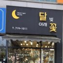 둔산북로 | 대전 둔산동 꽃집 추천, 결혼기념일 꽃다발 준비한 달빛아래꽃 후기