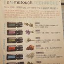 최프로 스킨 앤 바디 이미지