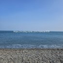 천성펜션 | [공지] 꿀별이의 맛집,일상 이야기 Blog 소개