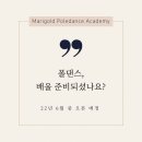 메리골드폴댄스학원 이미지