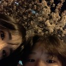 끝날 듯 끝나지 않는 벚꽃엔딩