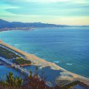 파도대게 이미지