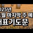 2025년 대강절 첫째주 대표기도문 이미지