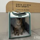 창원메디컬동물병원 | 창원 유니온동물병원 노묘 고양이 발치, 스케일링 후기