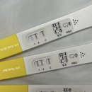 라인쓰리 | 쓰리라인 임테기 보는법 | 아기집·난황·심장소리 정확도 후기