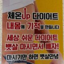 오렌지다이어트 클럽