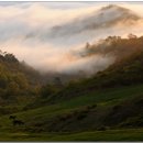 목장의아침 이미지