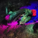 2019 시민과 함께하는 광명동굴 토요문화공연 | [24한국/경기]광명동굴 후기,광명동굴입장료,광명 가볼만한곳,아이와 가볼만한곳,서울근교주말당일치기...