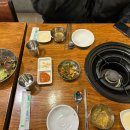 돈유창 이미지
