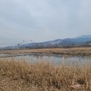 신북교 - 춘천시 | 신북교