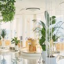 카페 포카오 이미지