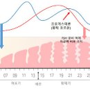 생리전 갈색냉 피 갈색혈 냉 왜 이런 변화 생길까 이미지