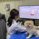 서신동물병원 네이버블로그