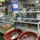 진도아리랑회센터 이미지