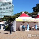 포항시청 이미지