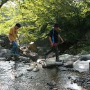 주어사지 이미지