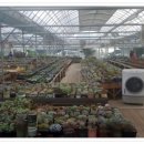 이동꽃마을 이미지