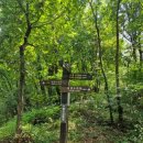 새미약수터 이미지