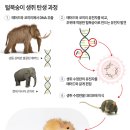 유전자 기술이 되살려낸 멸종 늑대