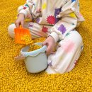 플레이스포츠 하남미사 이미지