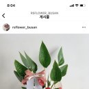 아레스&마셀 이미지