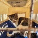 바랑골길 이미지