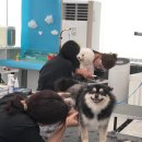 안나미용재료