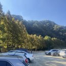 배내미낚시터 이미지