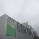 잠실우성아파트(9동옆) | 잠실 에스테틱 제이스테라피에서 등마사지 받은 솔직 후기