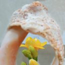 벧엘한의원 이미지