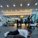 GYM84PT 이미지