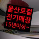 울산전기조명전업사