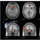 김정일정신건강의학과의원 이미지