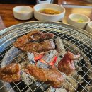 역촌동 15-12 | 🥩 역대급 가성비 소고기! 은평구 맛집 응암역 맛집 양심소 역촌점에서 양심소 한판 즐기고 왔어요!