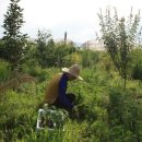 도촌 2농장 이미지