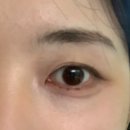 멜로테일 | [다이소 4구 팔레트 추천] 홀리카 홀리카 소프튠 무드 팔레트 02 멜로베리 / 봄웜라, 여쿨라 추천 팔레트