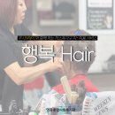 루시N헤어 네이버블로그