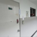 그린 (212) 이미지