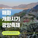 부산지방기상청 | 매화 개화시기 명소 2026 제 25회 광양 매화 축제 기간