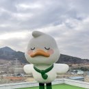 동읍340 | 창원 동읍 대형카페 그린하우스 주남점 내돈내산후기