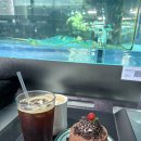 일중로 | 아쿠아가든 일산 주차, 메뉴, 가격 | 일산 대형카페 추천 | 가오리 바로 앞에서 식사한 후기