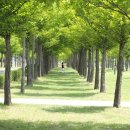 배곧생명공원 이미지