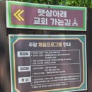 매점 카페 동물농장 데크사이트 C05 후다닭 2박3일 솔직 후기 주변 가볼만한곳 추천 활옥동굴 사과나무