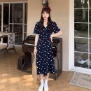 데이지플라워 이미지