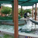 척산족욕공원 이미지