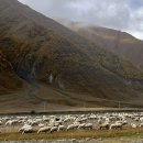 비고도랩스 | 🇬🇪 조지아ep5. 카즈베기 엘리아스 산 수도원 절망편, 트르소밸리 하이킹