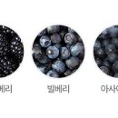 화계슈퍼 이미지
