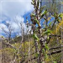 진달래어린이공원 화장실 이미지